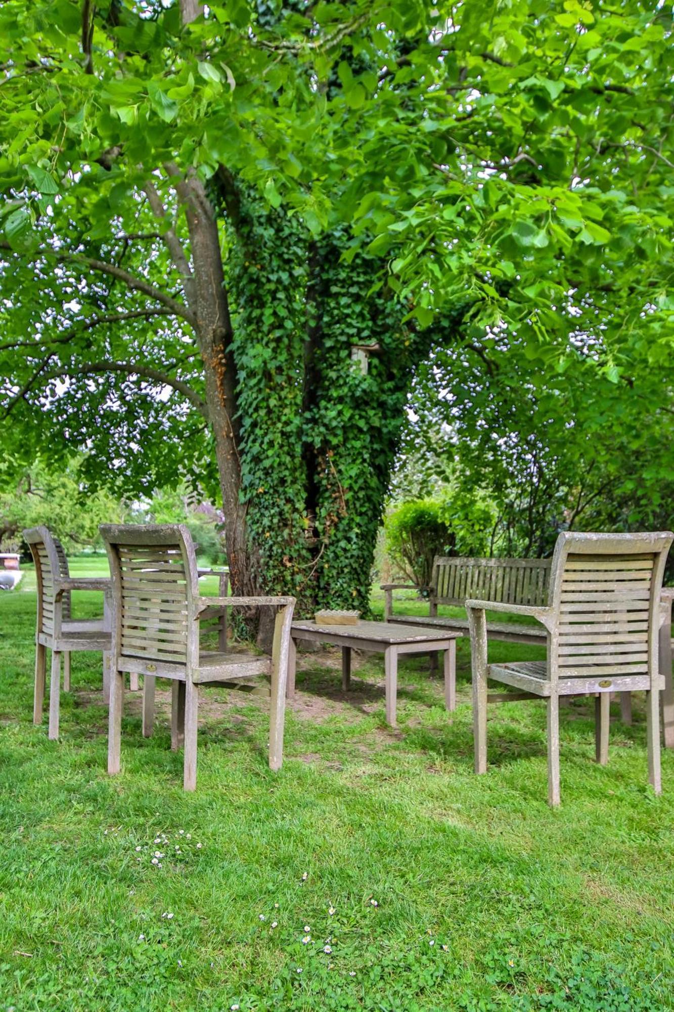 Domaine D'Aromm - Chambres D'Hotes & Gites - Piscine, Etangs & Animaux - Au Calme Ouches Exteriör bild